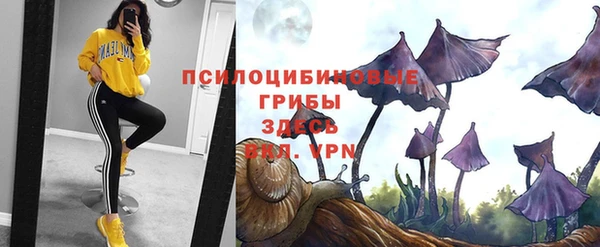 СК Заводоуковск