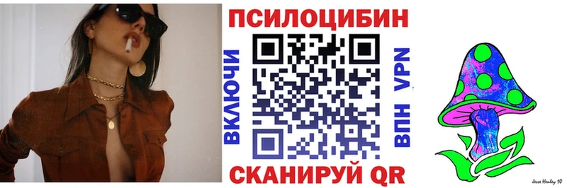 Галлюциногенные грибы Psilocybe Махачкала