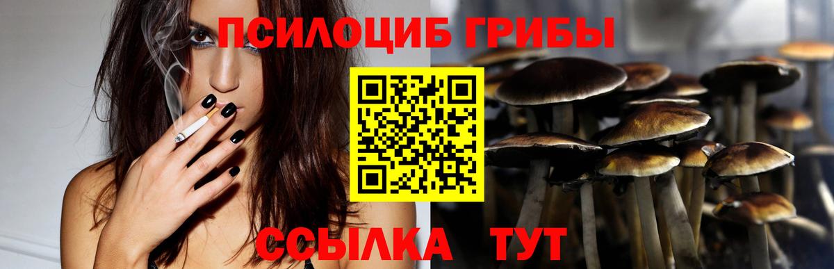 Махачкала  Псилоцибиновые грибы ЛСД  Вход с VPN  Псилоцибиновые грибы ЛСД 